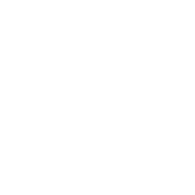 EV